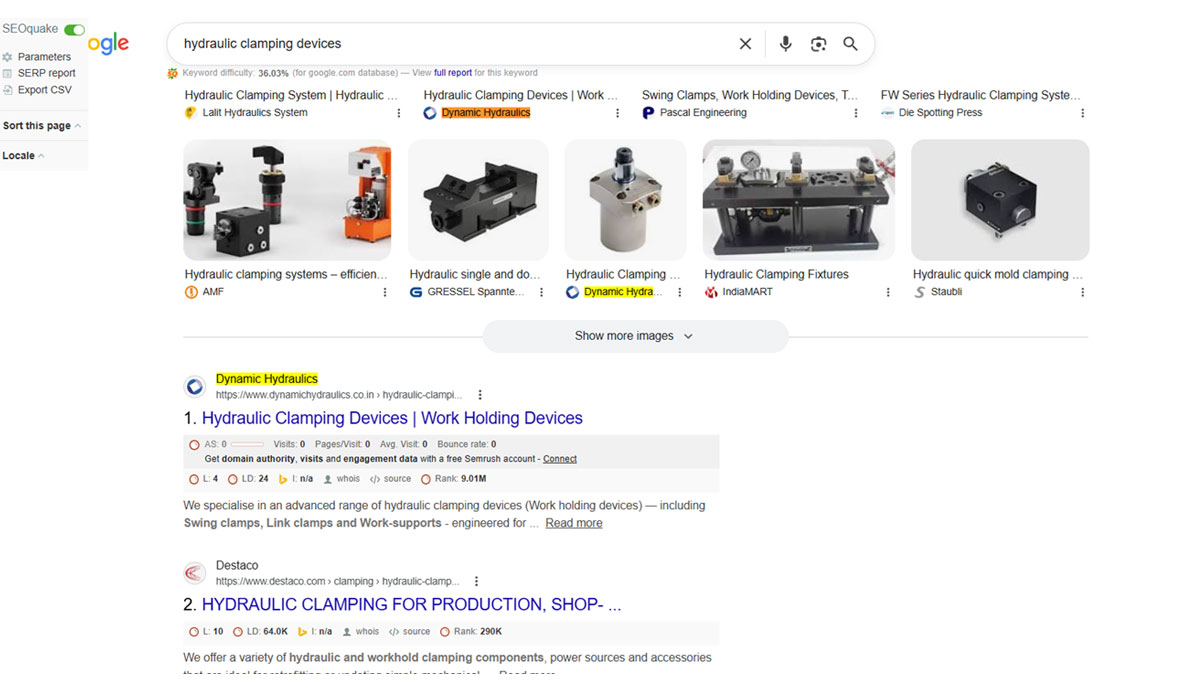 Dynamic Hydraulic Google Search